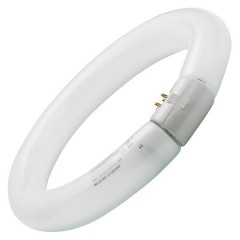 Люминесцентная лампа кольцевая Sylvania FC 32W/54-765 C T9 G10q, 307mm