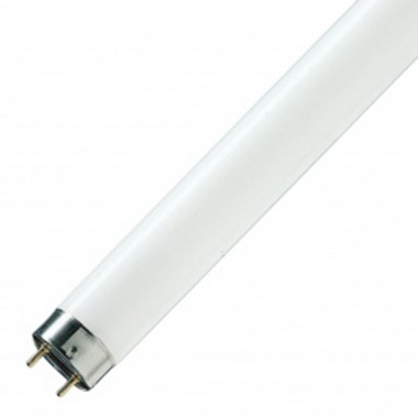 Отзывы Люминесцентная лампа T8 Osram L 18 W/940 DE LUXE G13, 590 mm