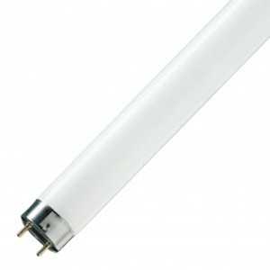 Купить Люминесцентная лампа T8 Osram L 36 W/965 DE LUXE G13, 1200 mm