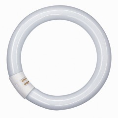 Люминесцентная лампа кольцевая Osram L 32 W/840 C T9 G10q, 305mm