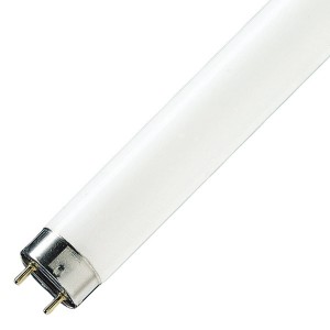 Купить Люминесцентная лампа для гастрономии T8 Philips MST TL-D Food 18W/79 G13 590mm