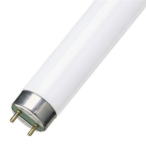 Обзор Люминесцентная лампа T8 Philips TL-D 58W/33-640 G13, 1500 mm