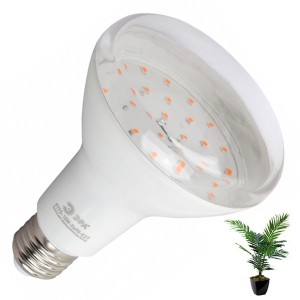 Обзор Светодиодная лампа для растений ЭРА FITO-15W-Ra90-E27 15W 2150K 220V E27 d95х135mm 787042