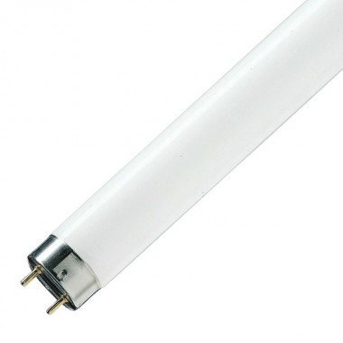 Обзор Люминесцентная лампа T8 Philips TL-D 30W/33-640 G13, 895 mm