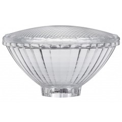 Плафон PAR30 Minihalogen Silber/Klar