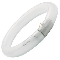 Люминесцентная лампа кольцевая Sylvania FC 22W/865 C T9 G10q, 216mm