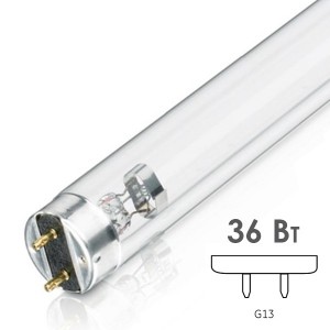 Лампа бактерицидная LEDVANCE TIBERA T8 36W G13 UVC 253,7nm L1200mm специальная безозоновая