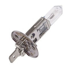 Лампа N448 H1 12V 55W P14.5s (64150) Standart NEOLUX