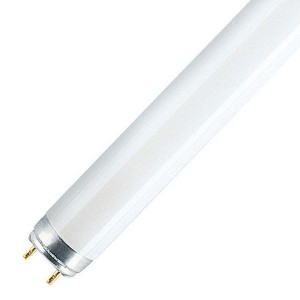 Обзор Люминесцентная лампа T8 Osram L 36 W/840-1 PLUS ECO G13, 970 mm