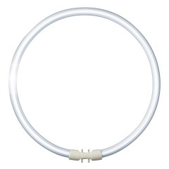 Люминесцентная лампа кольцевая Philips TL5 Circular 60W/840 2GX13, D379mm