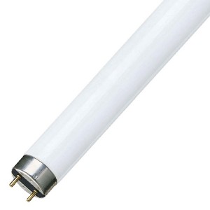 Люминесцентная лампа T8 Osram L 18 W/865 PLUS ECO RUS G13, 590 mm