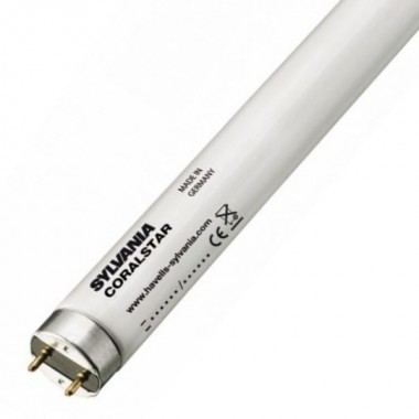 Купить Люминесцентная лампа для кораллов T8 Sylvania F30W/CORALSTAR G13, 895 mm