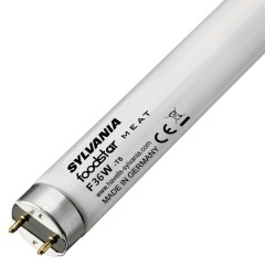 Люминесцентная лампа для мясных продуктов T8 Sylvania F36W/176-1 FOODSTAR MEAT G13, 970 mm