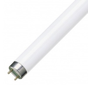 Отзывы Люминесцентная лампа T8 Philips TL-D 18W/830 SUPER 80 G13, 590 mm 871150063165740
