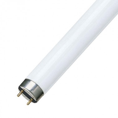 Обзор Люминесцентная лампа T8 Osram L 18 W/840 SPS SPLIT control G13, 590 mm