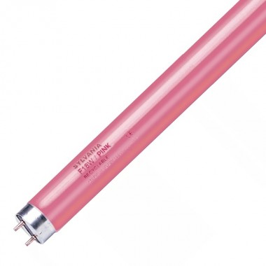 Обзор Люминесцентная лампа T8 Sylvania F 18W/PINK G13, 590 mm, розовая