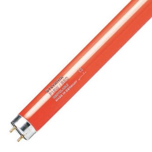 Купить Люминесцентная лампа T8 Sylvania F 18W/RED G13, 590 mm, красная