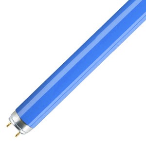 Люминесцентная лампа T8 Osram L 58 W/67 G13, 1500 mm, синяя