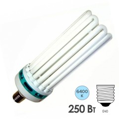 Лампа энергосберегающая ESL 8U17 250W 6400K E40 8U d128x400 холодная