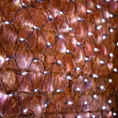 Гирлянда Сеть 2х1,5м, 288LED белый IP44 свечение с динамикой, черный провод, 230В