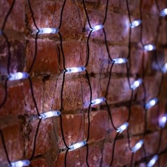 Гирлянда Сеть 2х1,5м, 288LED белый/синий IP65 свечение с динамикой, черный каучук, 230В