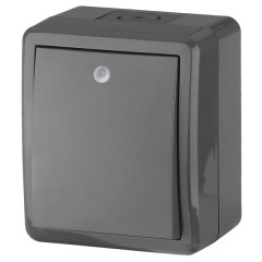 Выключатель с подсветкой IP54 10АХ-250В открытой установки Эра Эксперт, серый 11-1402-03