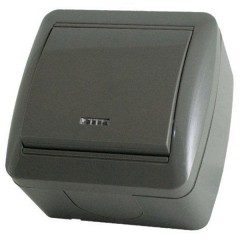 Выключатель одноклавишный открытой установки с подсветкой IP44 10А "Селигер" TDM серый