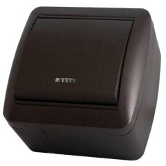 Выключатель одноклавишный открытой установки с подсветкой IP44 10А "Селигер" TDM шоколад