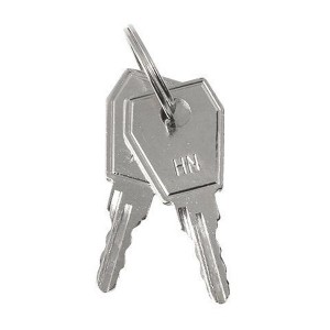 Купить Ключ для пластикового замка к ЩРН (арт. lock-shrn-ip31) EKF PROxima