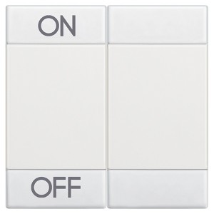 Клавиши с символами для системы автоматизации для 2 функций  2м ON-OFF Bticino LivingLight белый