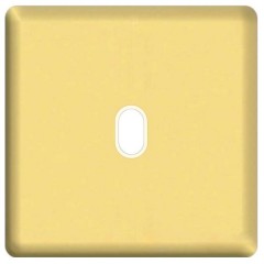 Накладка для 1-го тумблера Fede Bright gold бежевый