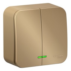 Выключатель 2-клавишный с подсветкой Blanca Schneider Electric 10А 250В титан