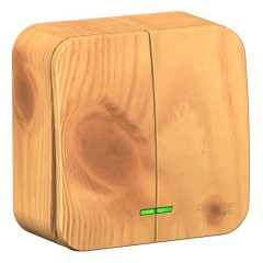 Выключатель 2-клавишный Blanca Schneider Electric 10А 250В ясень