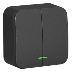 Выключатель 2-клавишный с подсветкой Blanca Schneider Electric 10А 250В антрацит из.пластина