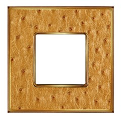 Рамка 1-ная Fede Vintage Tapestry, alienagold - bright gold