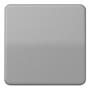 Обзор Клавиша 1-ая для одноклавишного выключателя/кнопки Jung CD Серый