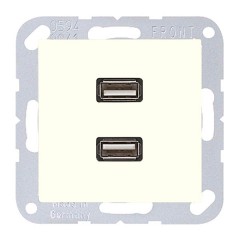 Розетка USB-удлинитель 2 местная Jung A+AS Слоновая кость механизм+накладка (бежевый)