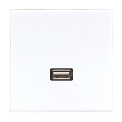 Розетка USB-удлинитель 1 местная Jung LS Белый механизм+накладка