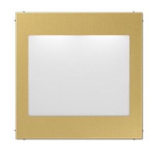 Светодиодное табло с RGB подсветкой для блока SV539LED Jung Латунь Classic