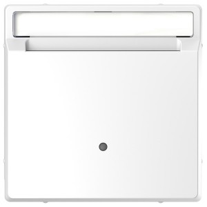 Накладка для выключателя с ключом-картой для гостиниц Merten D-Life, белый лотос
