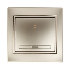 Переключатель 10А 250В  IP20 Intro Plano, шампань 1-103-04