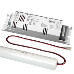 Блок аварийного питания (БАП) AWEX NX/58/1 6-58W 1час, Ni-CD 4.8V 1.5Ah