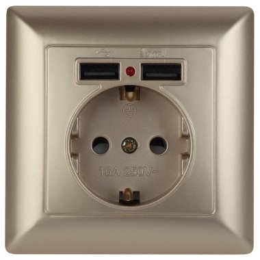 Обзор Розетка 2P+E Schuko со шторками 16А-250В + 2хUSB  Intro Solo, шампань 4-410-04