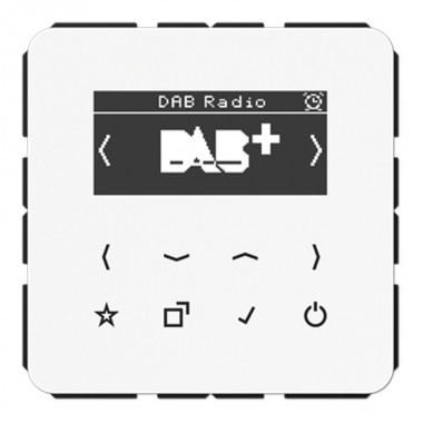 Обзор Цифровое радио DAB+/FM Jung СВ белый