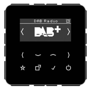 Купить Цифровое радио DAB+/FM Jung СВ черный