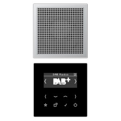 Цифровое радио DAB+/FM моно Jung LS черный/алюминий