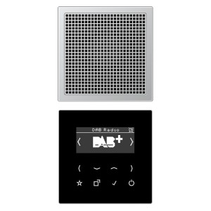 Цифровое радио DAB+/FM с поддержкой Bluetooth моно Jung LS черный/алюминий