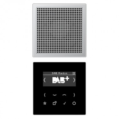Купить Цифровое радио DAB+/FM с поддержкой Bluetooth моно Jung LS черный/алюминий