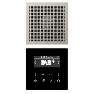 Цифровое радио DAB+/FM с поддержкой Bluetooth моно Jung LS черный/нержавеющая сталь