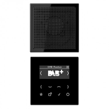 Отзывы Цифровое радио DAB+/FM моно Jung LS черный/черный